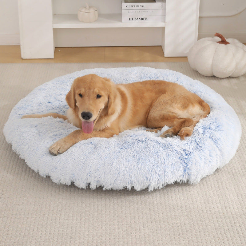 Golden retriever resting on a fluffy blue dog bed in a cozy home setting