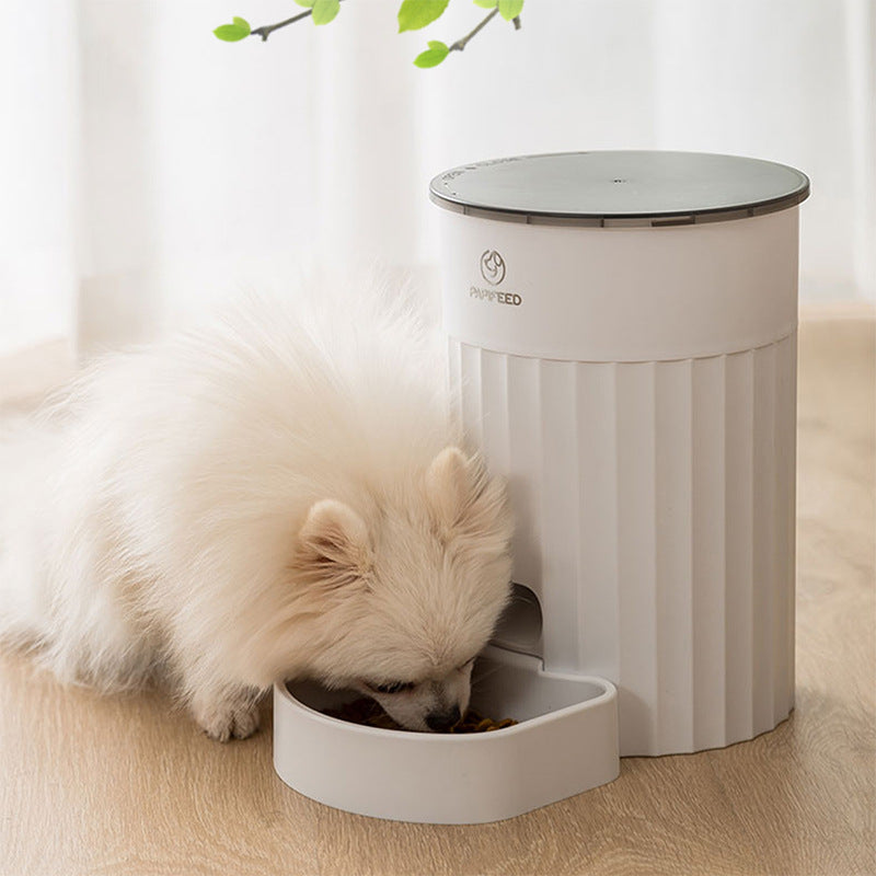 Fluffy white Pomeranian eating from automatic pet feeder with heart-shaped bowl