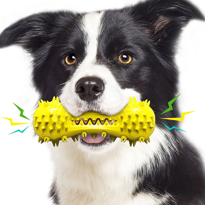 Border Collie chewing yellow spiked dog toy for dental care and play