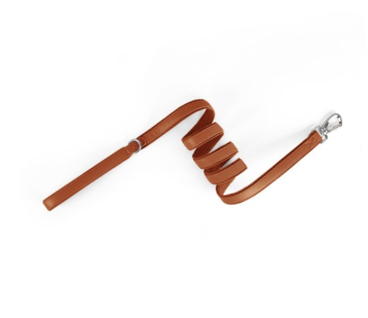 Brown leather dog leash with metal clasp, coiled on white background