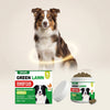 Easy To Feed Suitable For Dogs Daily Dietary Care